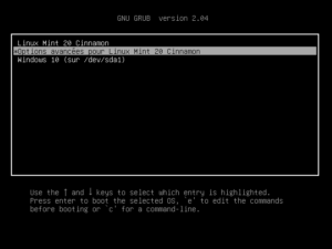 linux mint 20 - menu grub