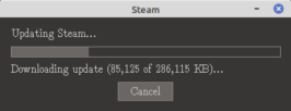 Linux mint steam не запускается