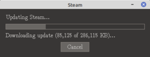 Linux mint steam не запускается